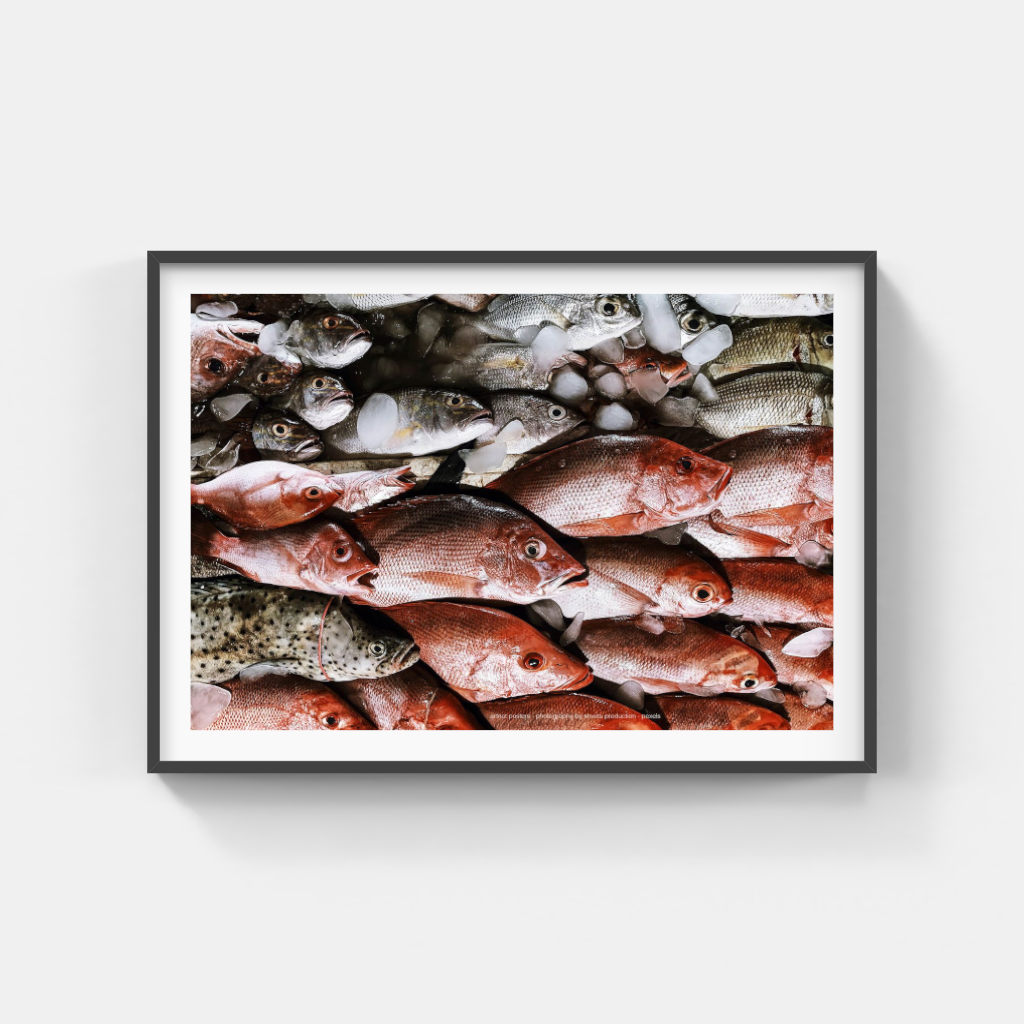 Fresh Fish Ocean Colours poster