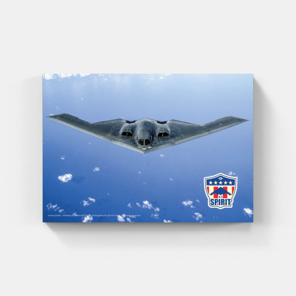 B2 Stealth Bomber poster