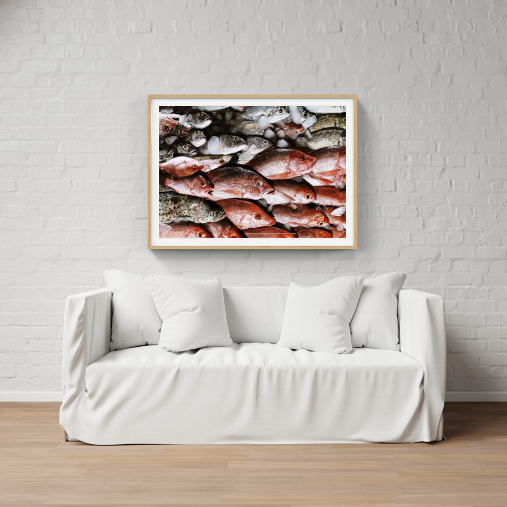 Fresh Fish Ocean Colours poster