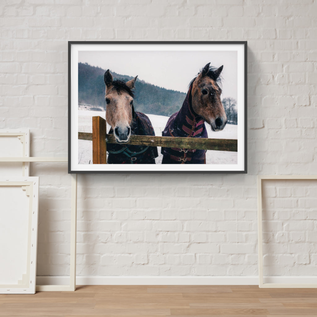 Snow Horses poster