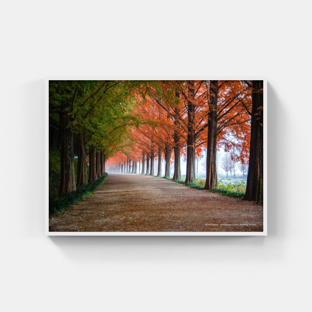 Autumn Trees poster