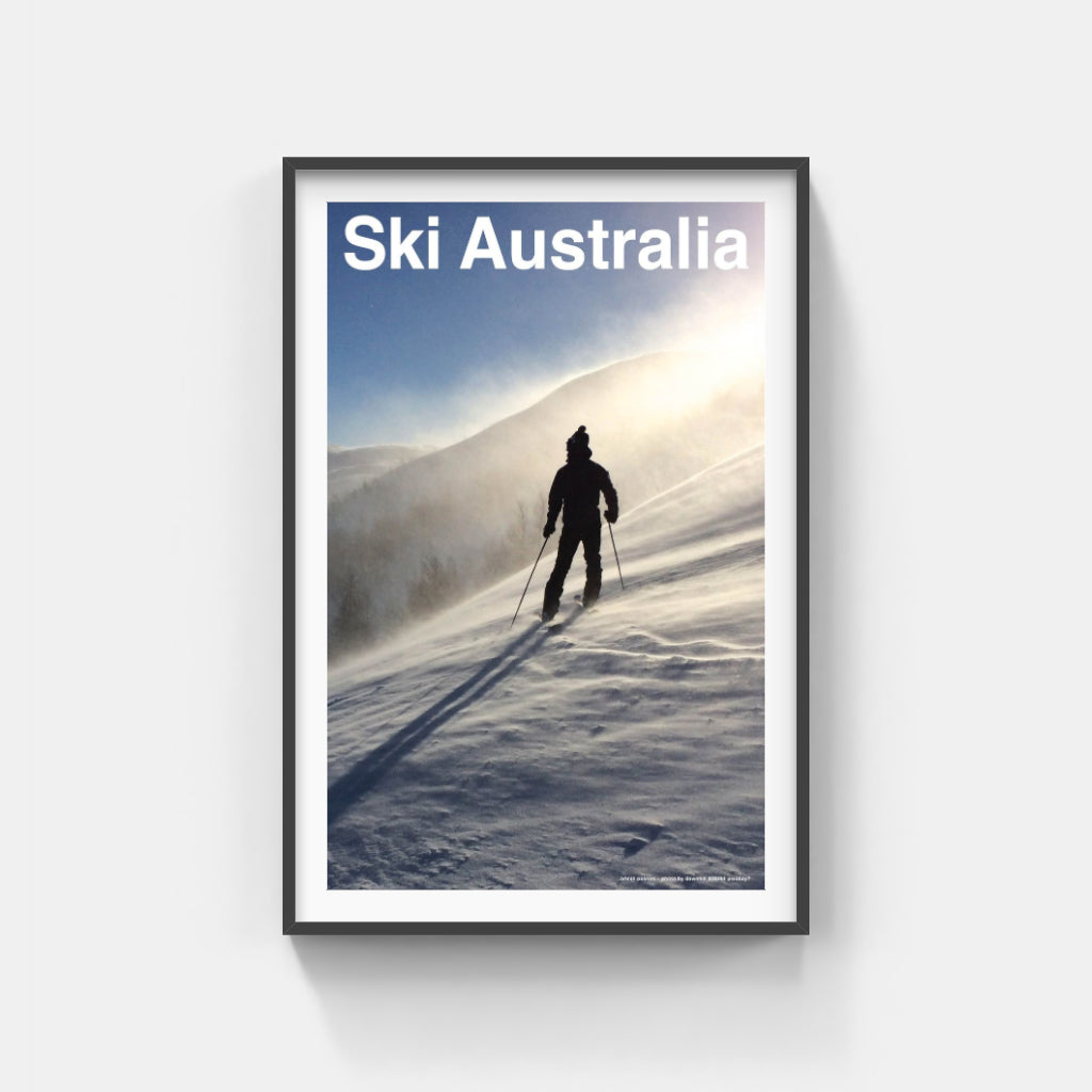 The Art of Telemark poster