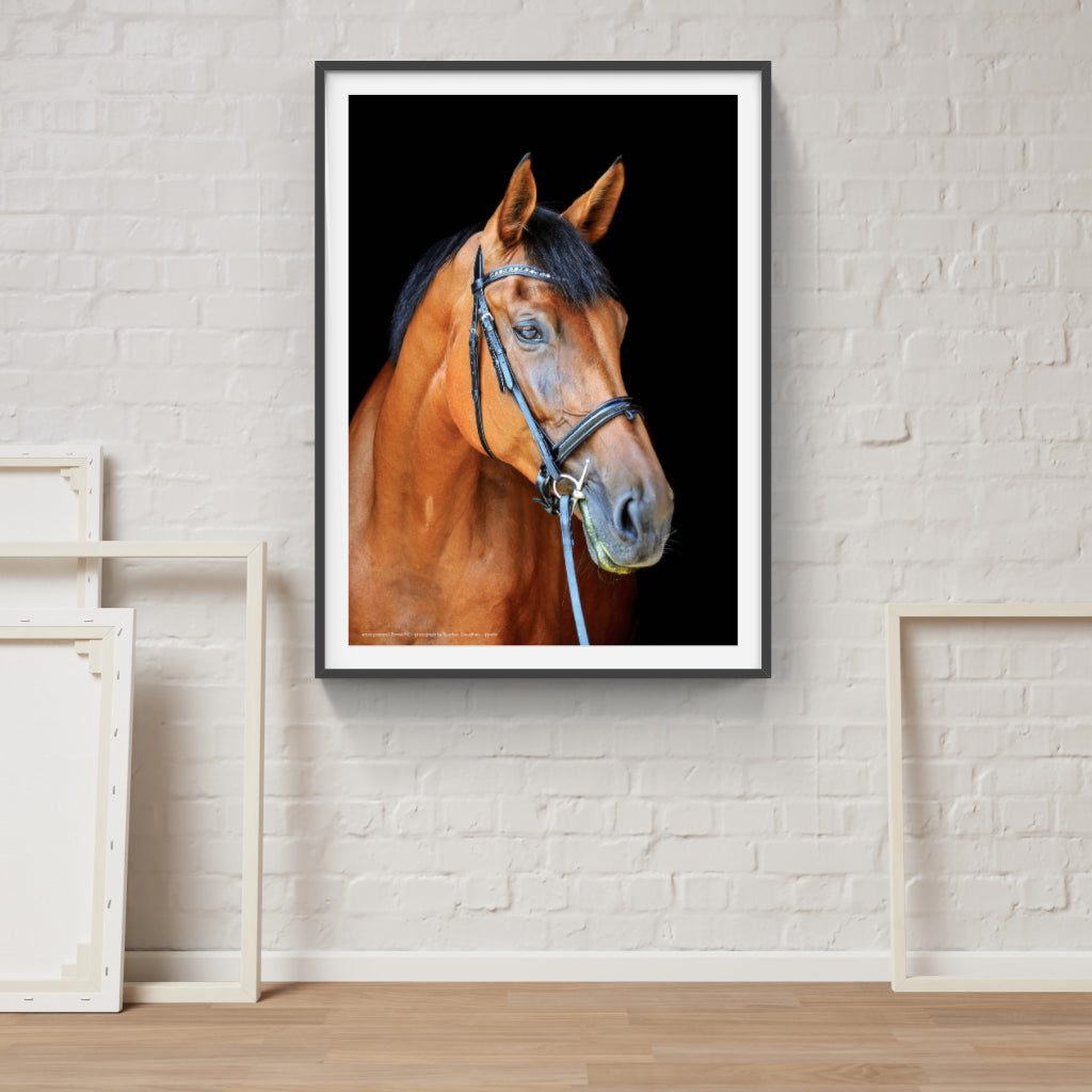 Thoroughly Well-Bred horse poster