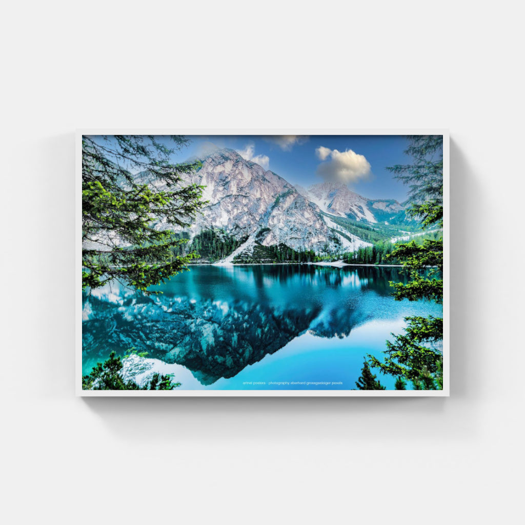 Lake Reflection poster