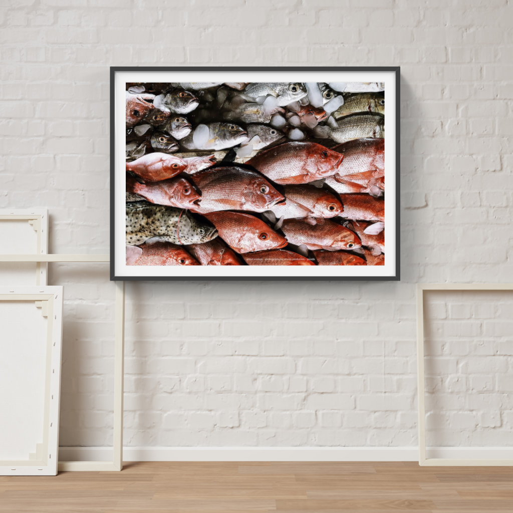 Fresh Fish Ocean Colours poster