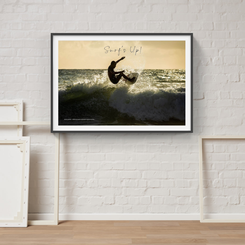 Surf's Up poster