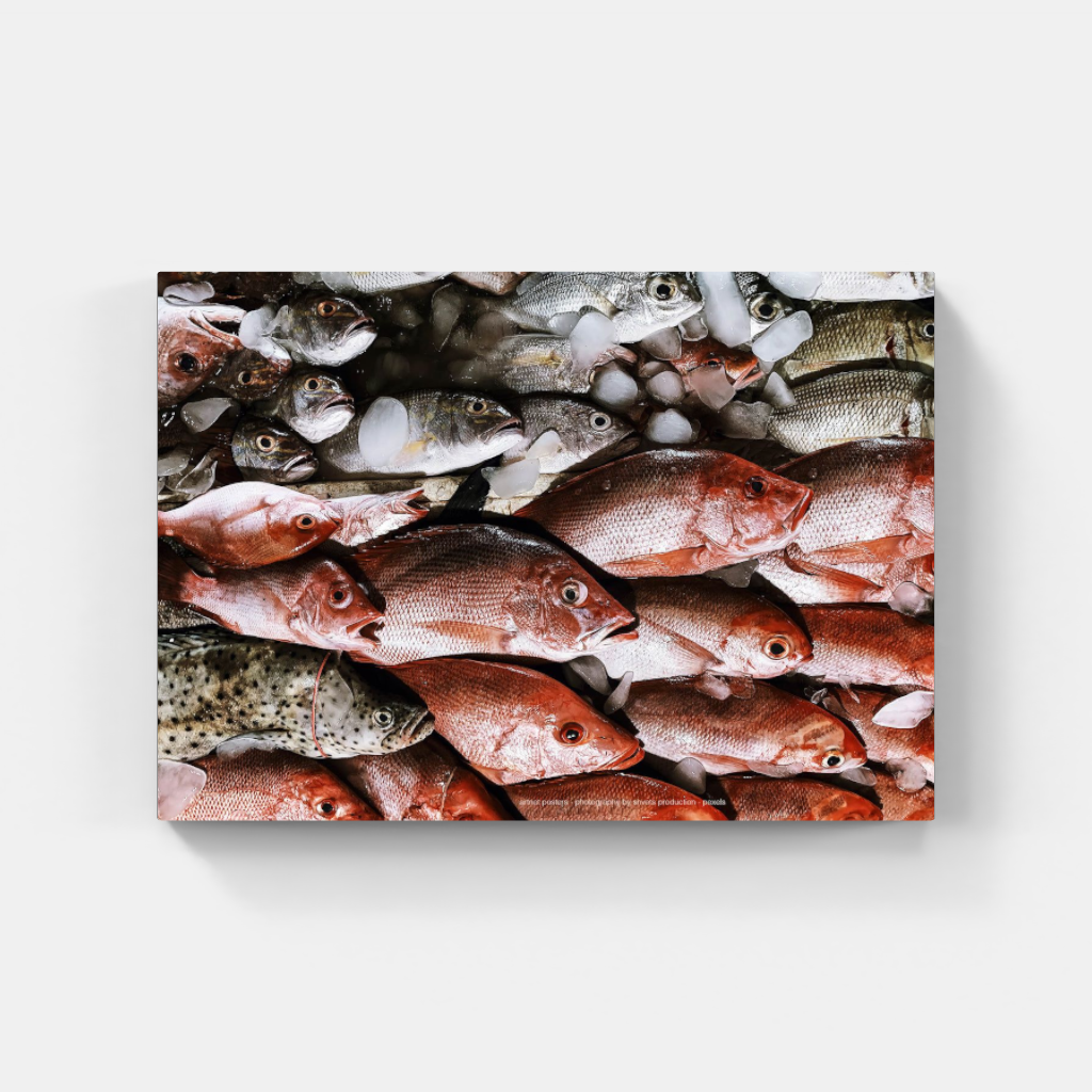 Fresh Fish Ocean Colours poster