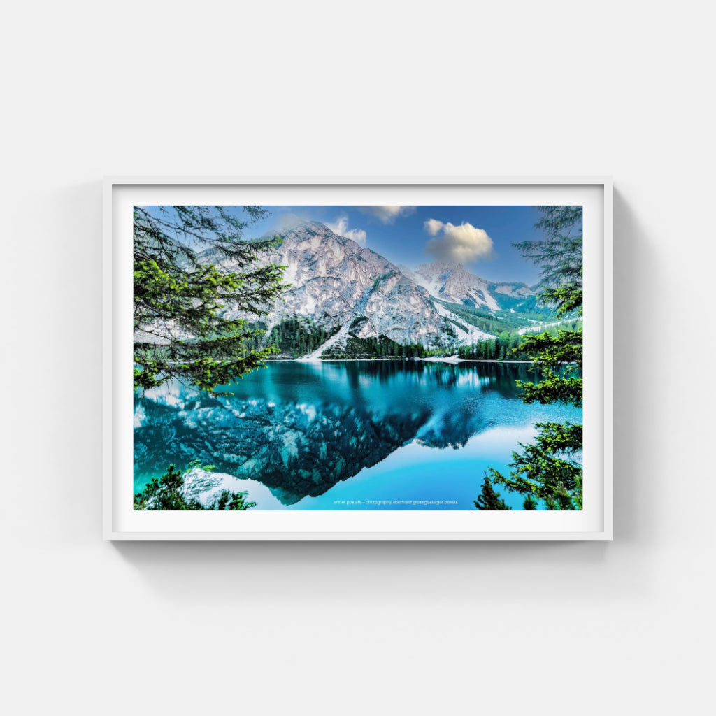 Lake Reflection poster