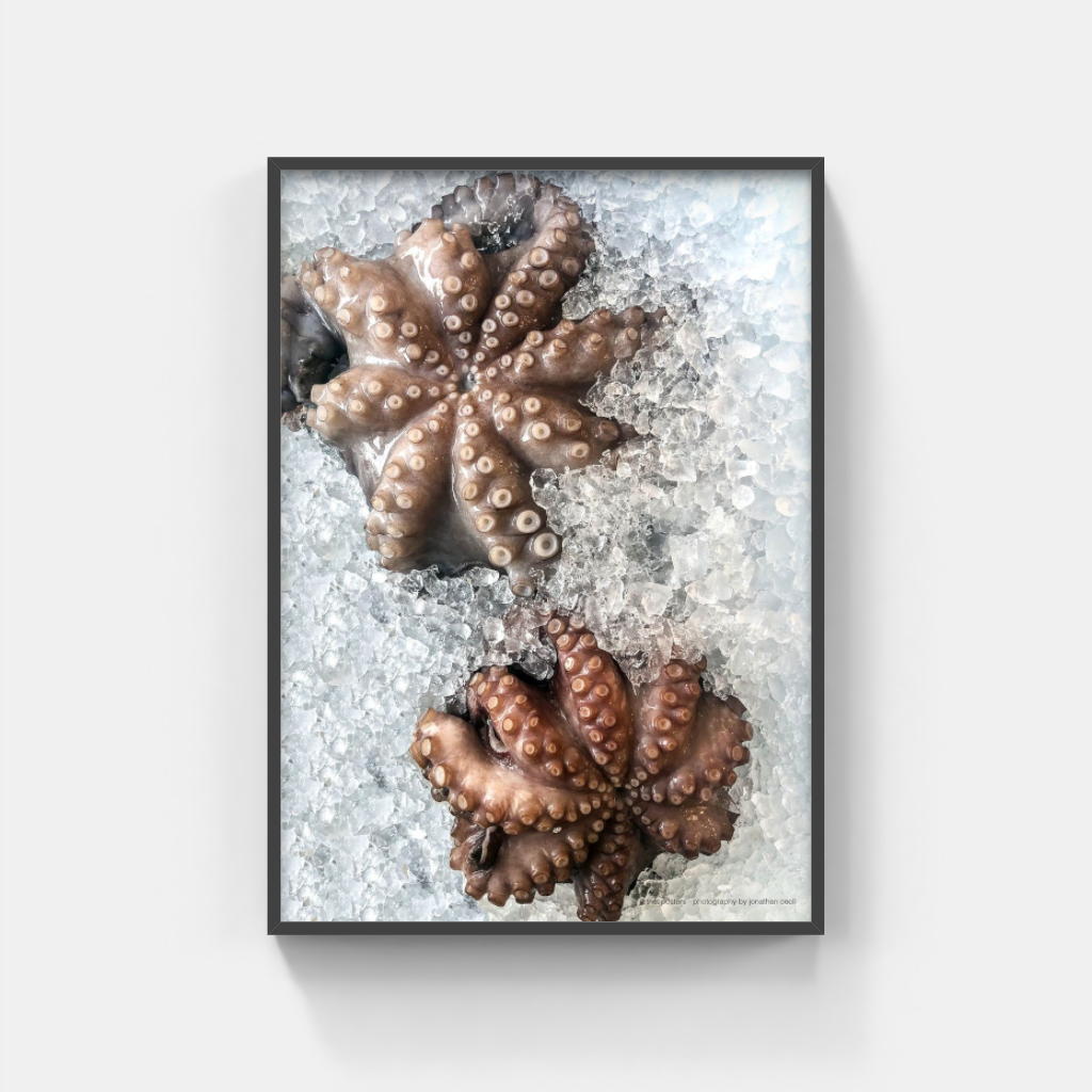 Fresh Octopus poster