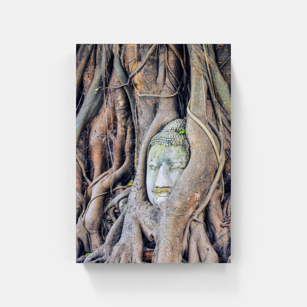 Buddha Enlightenment poster