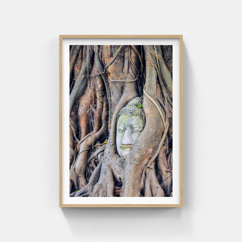 Buddha Enlightenment poster