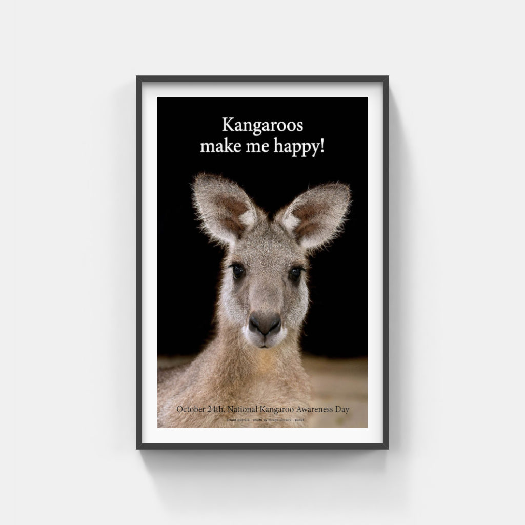 Kangaroos Make me Happy poster