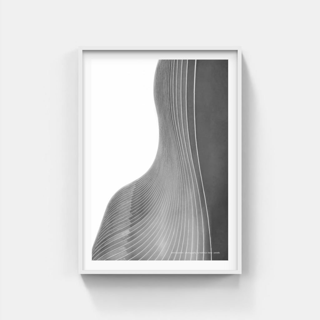 The Architecture of Curves poster