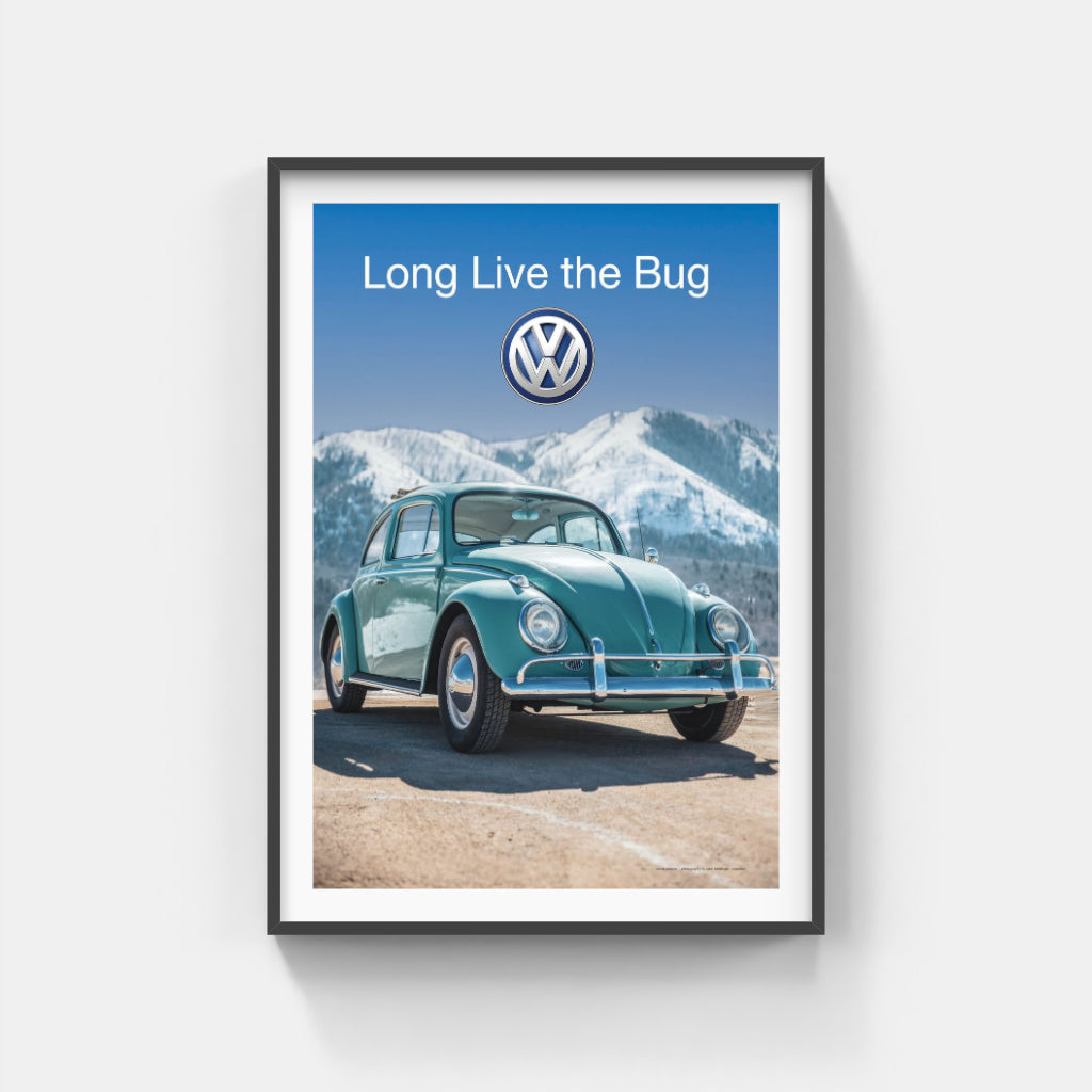 Long Live the Bug poster