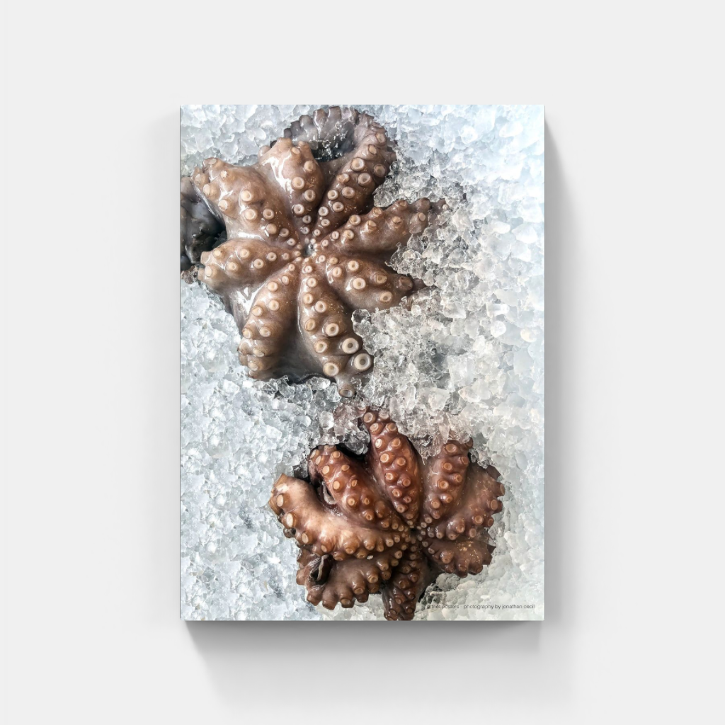 Fresh Octopus poster