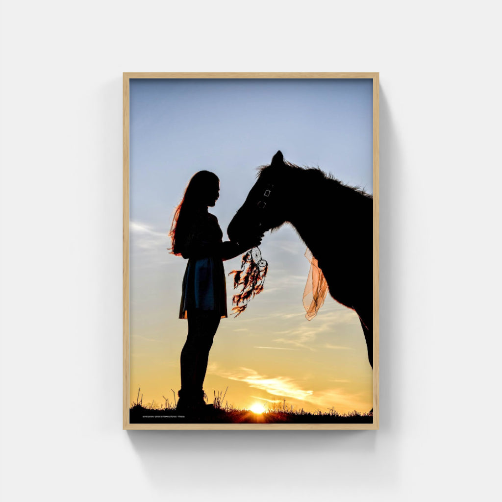 Horse Silhouette poster
