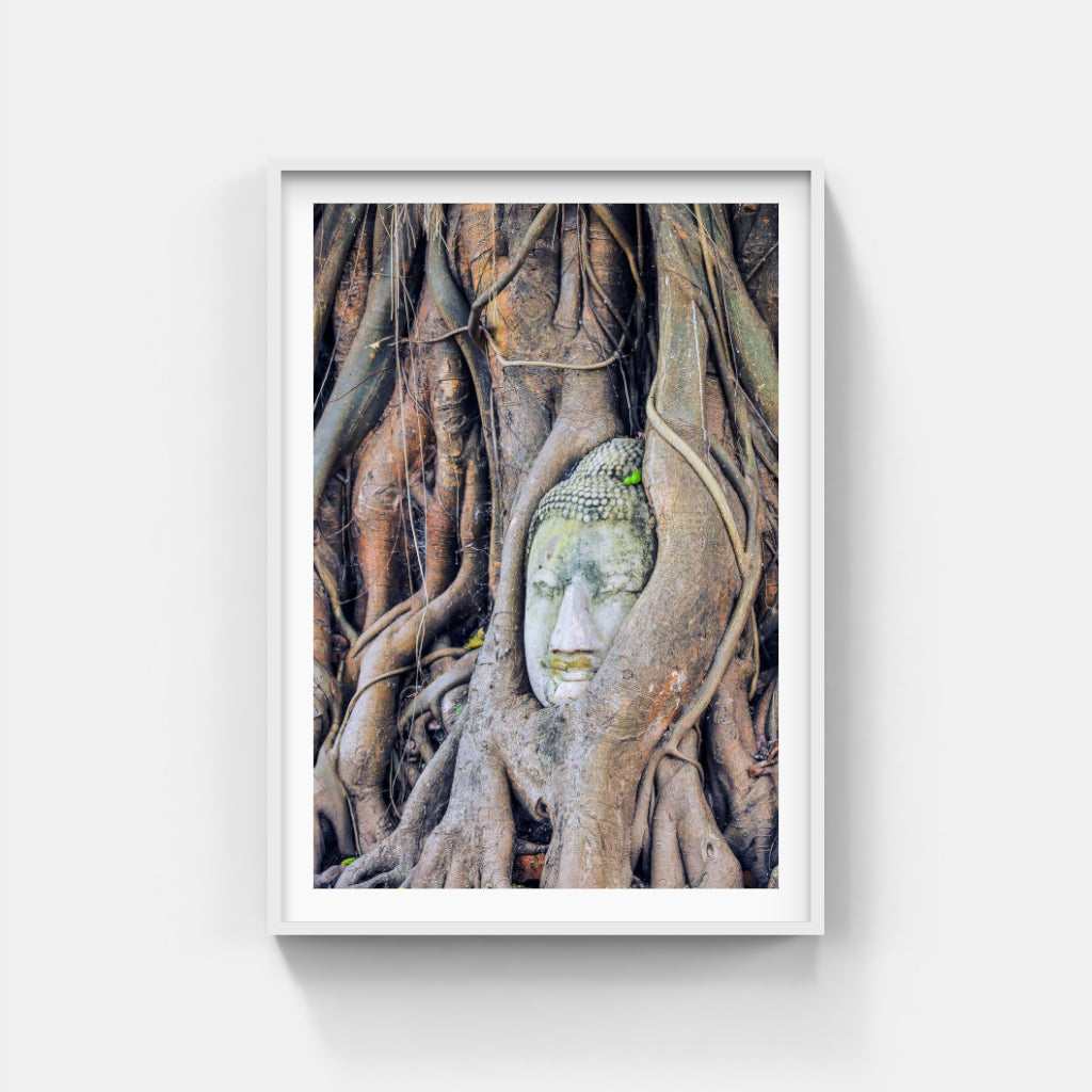 Buddha Enlightenment poster