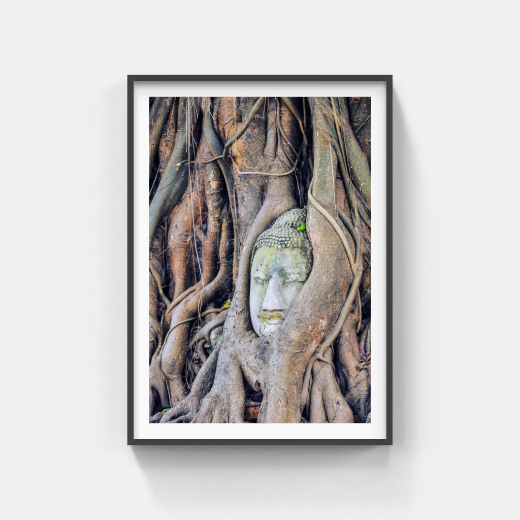 Buddha Enlightenment poster