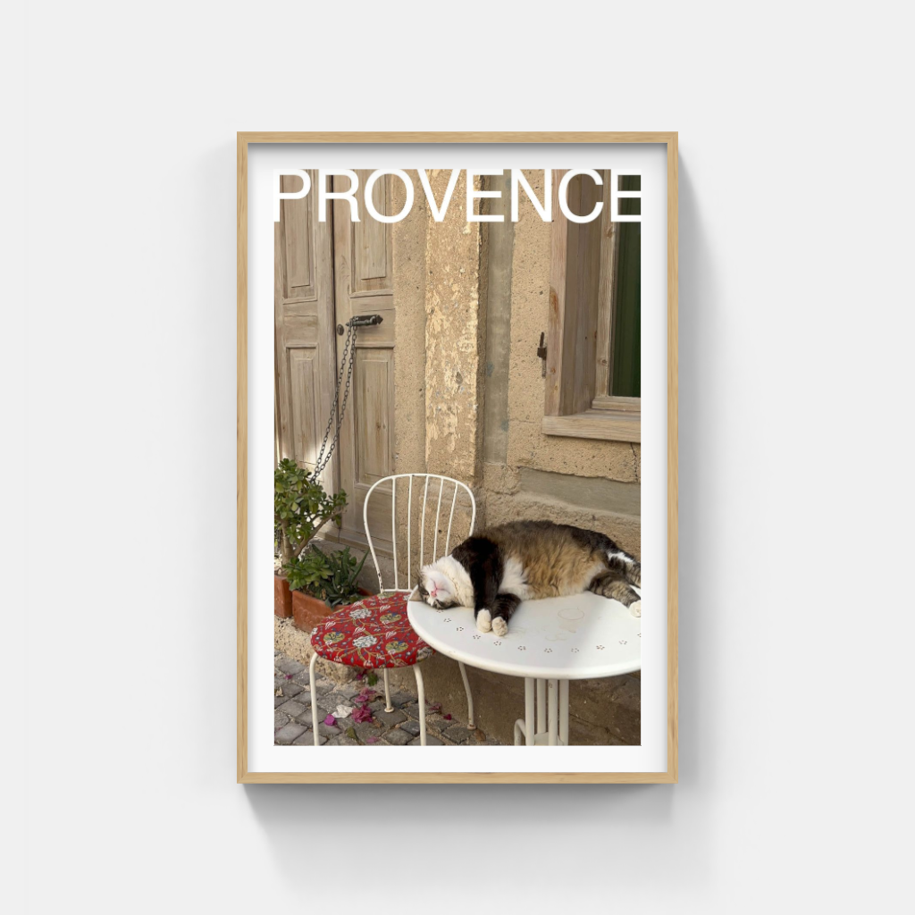 Comatose Cat in Provence poster