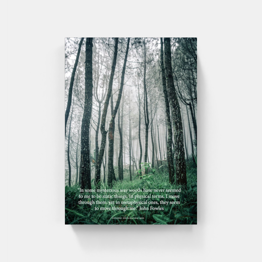 Mysterious Woods poster