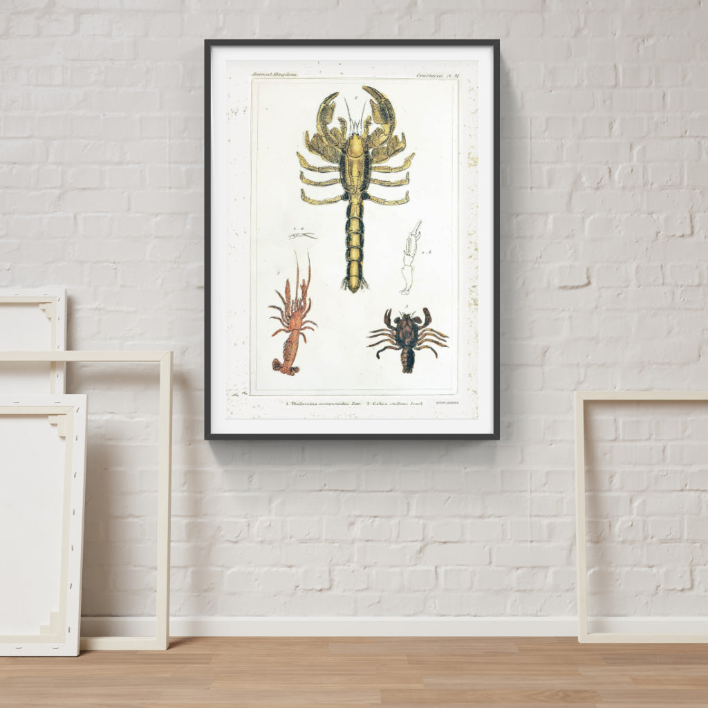 Vintage Crustaceans retro poster