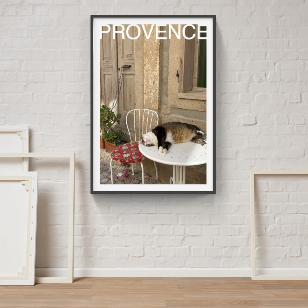 Comatose Cat in Provence poster