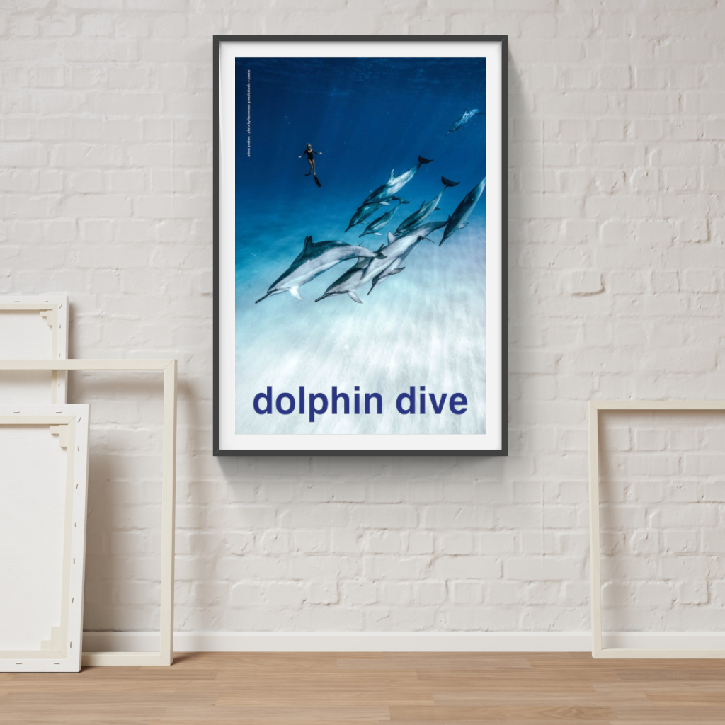 Scuba - Dolphin Dive poster