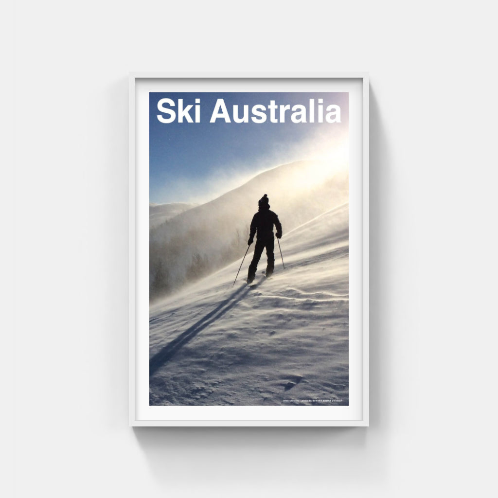 The Art of Telemark poster