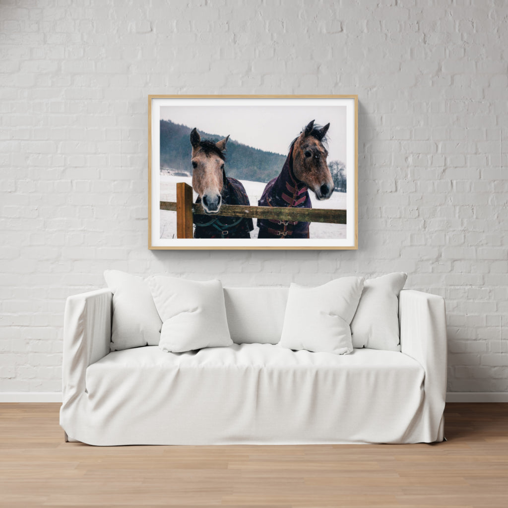 Snow Horses poster