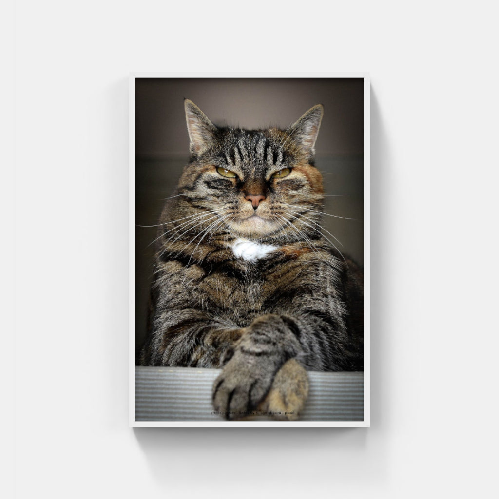 Master of the Universe cat poster