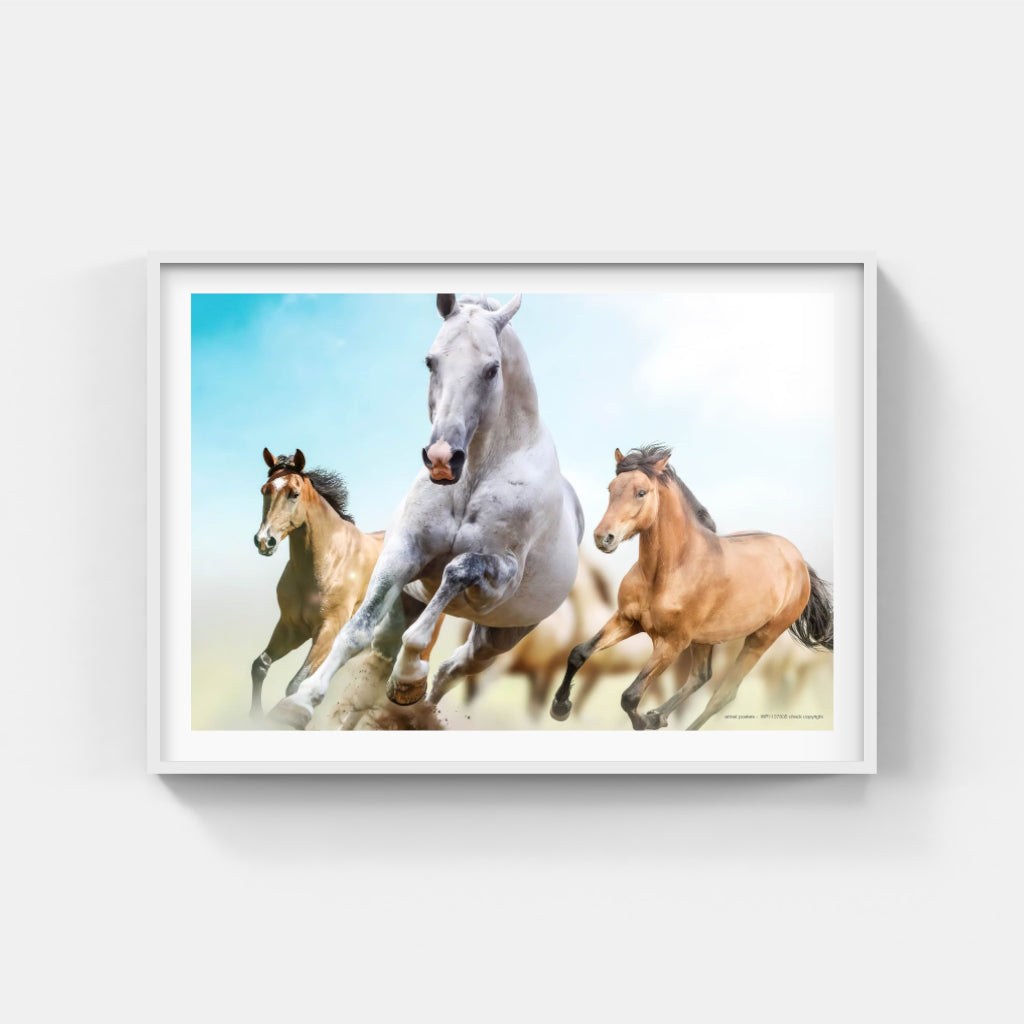 Running Horses poster
