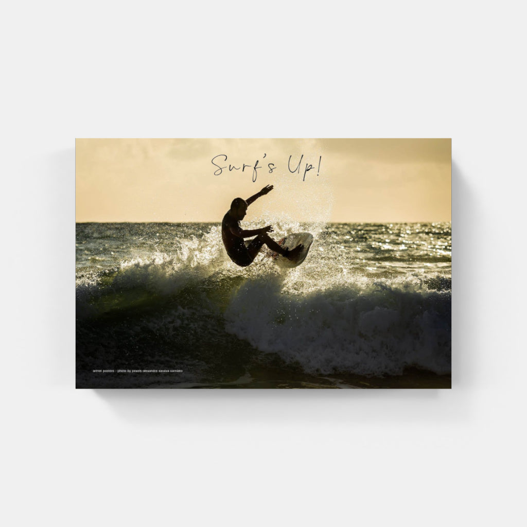 Surf's Up poster