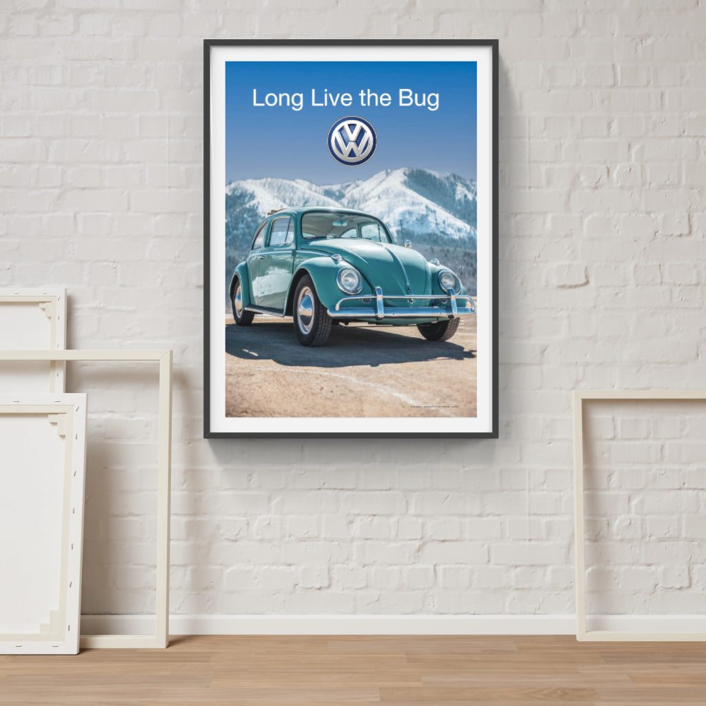 Long Live the Bug poster