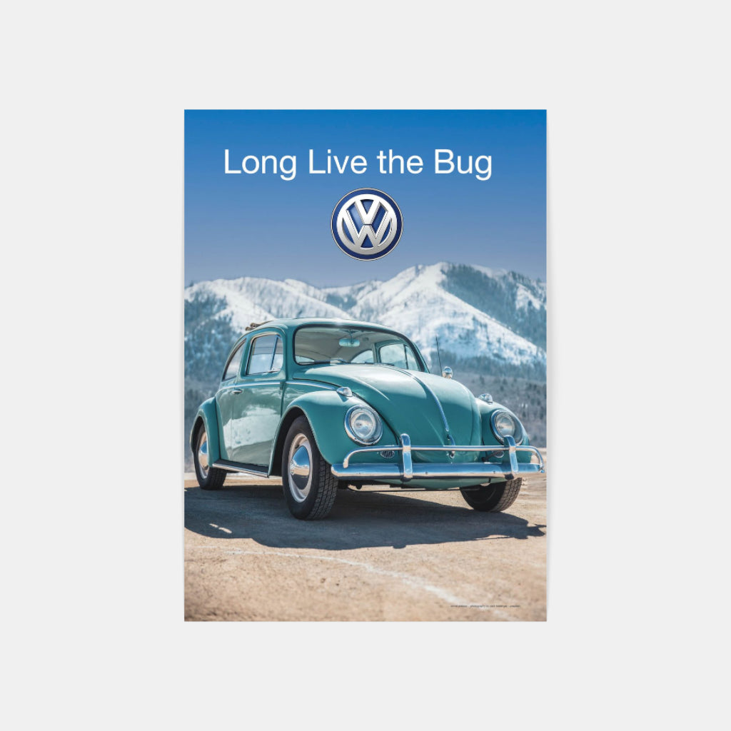 Long Live the Bug poster