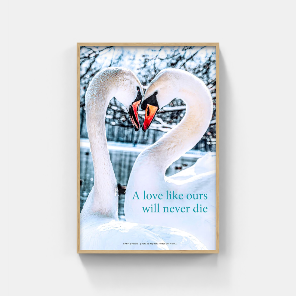 Love for Life poster