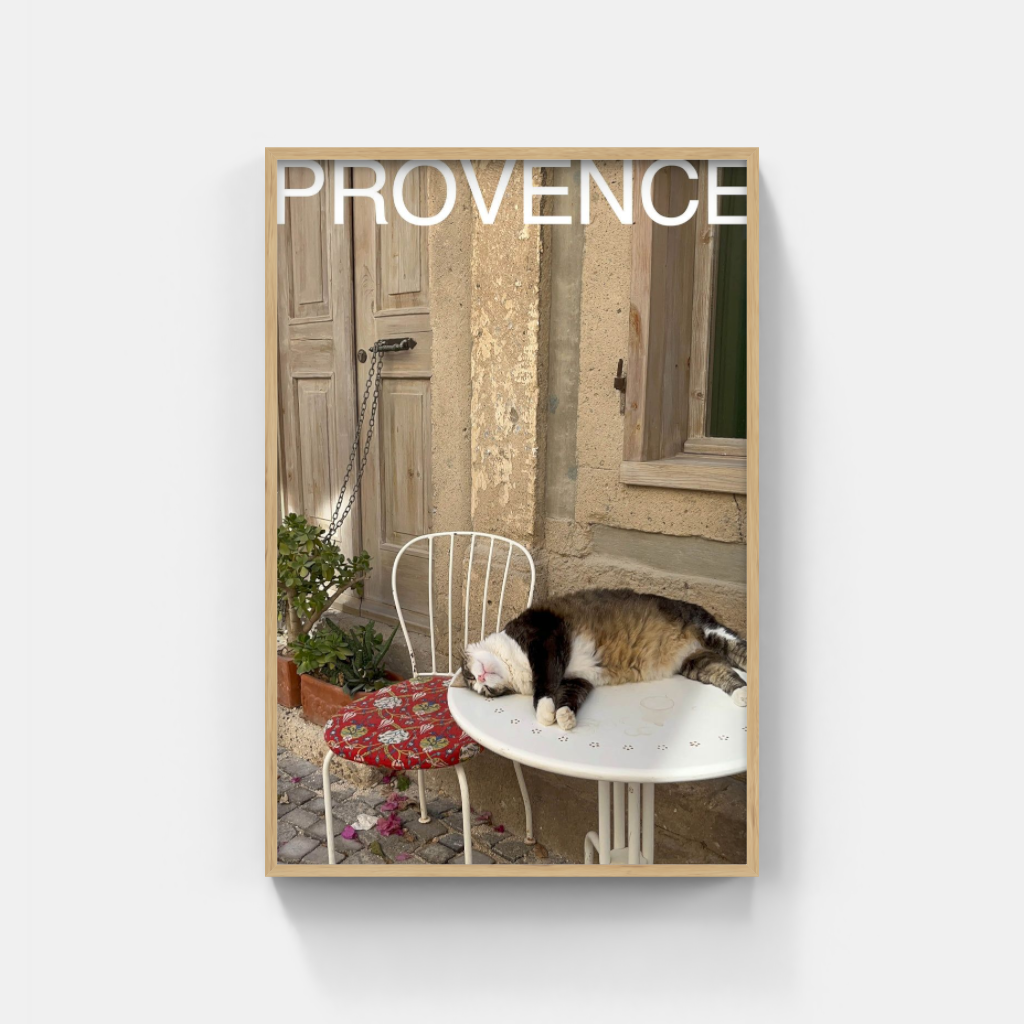 Comatose Cat in Provence poster