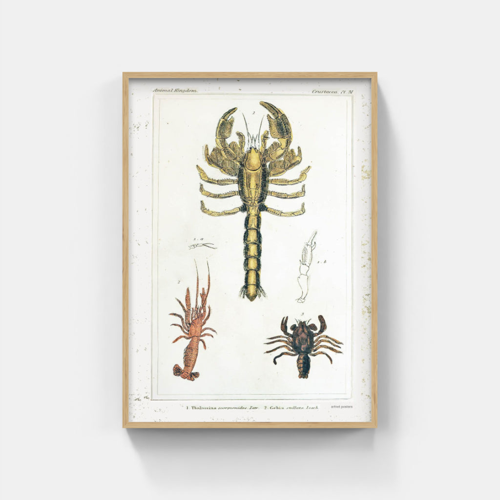 Vintage Crustaceans retro poster