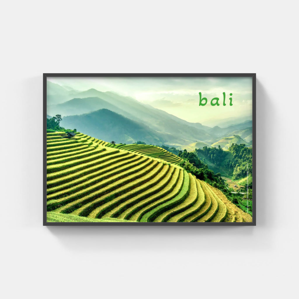 Bali Rice Terraces poster