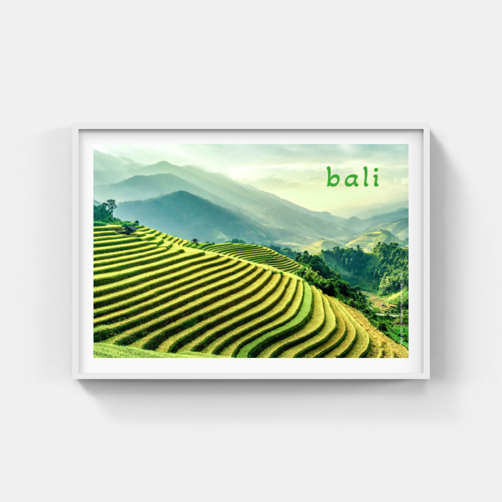 Bali Rice Terraces poster