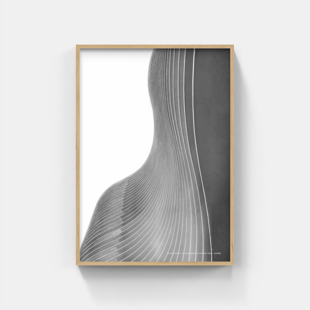 The Architecture of Curves poster