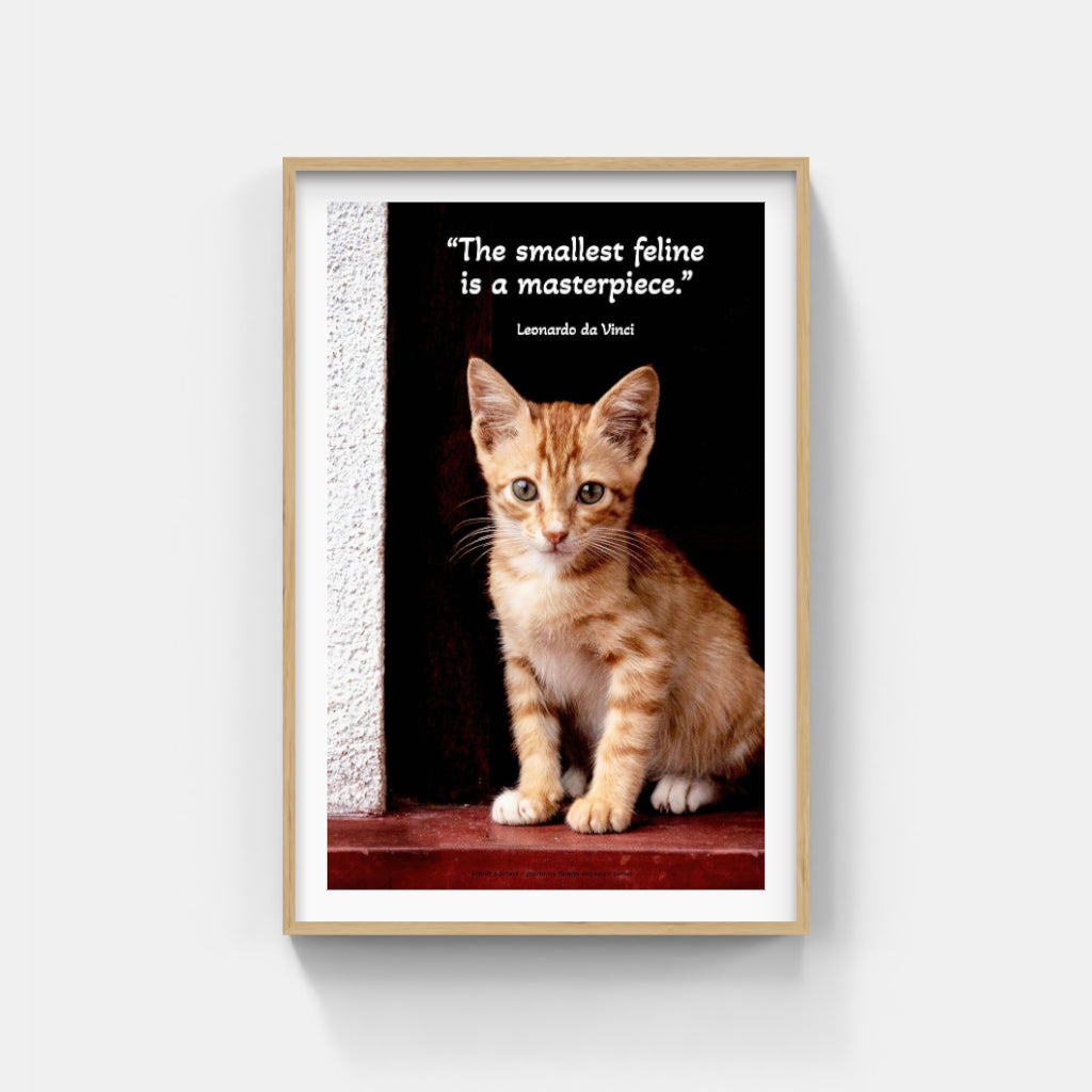Kitten in a Doorway poster