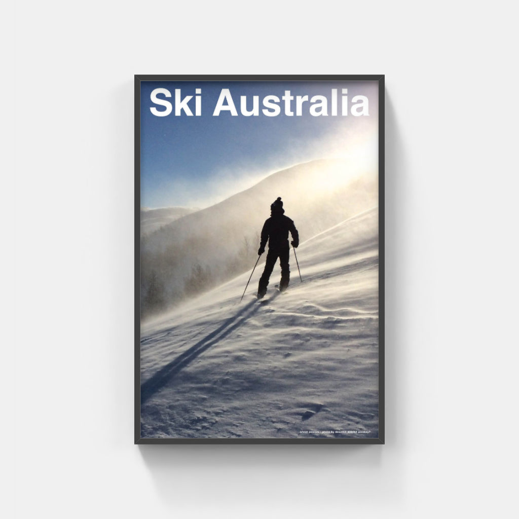 The Art of Telemark poster