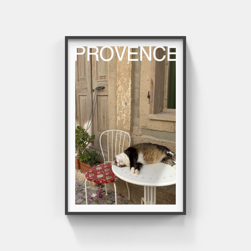 Comatose Cat in Provence poster