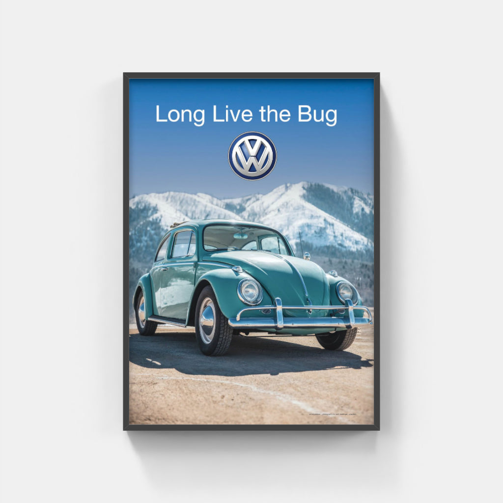Long Live the Bug poster