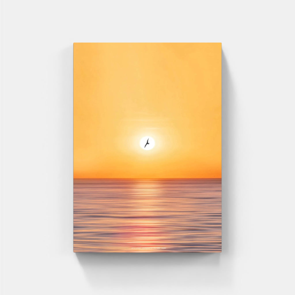 Seagull over Sorrento poster