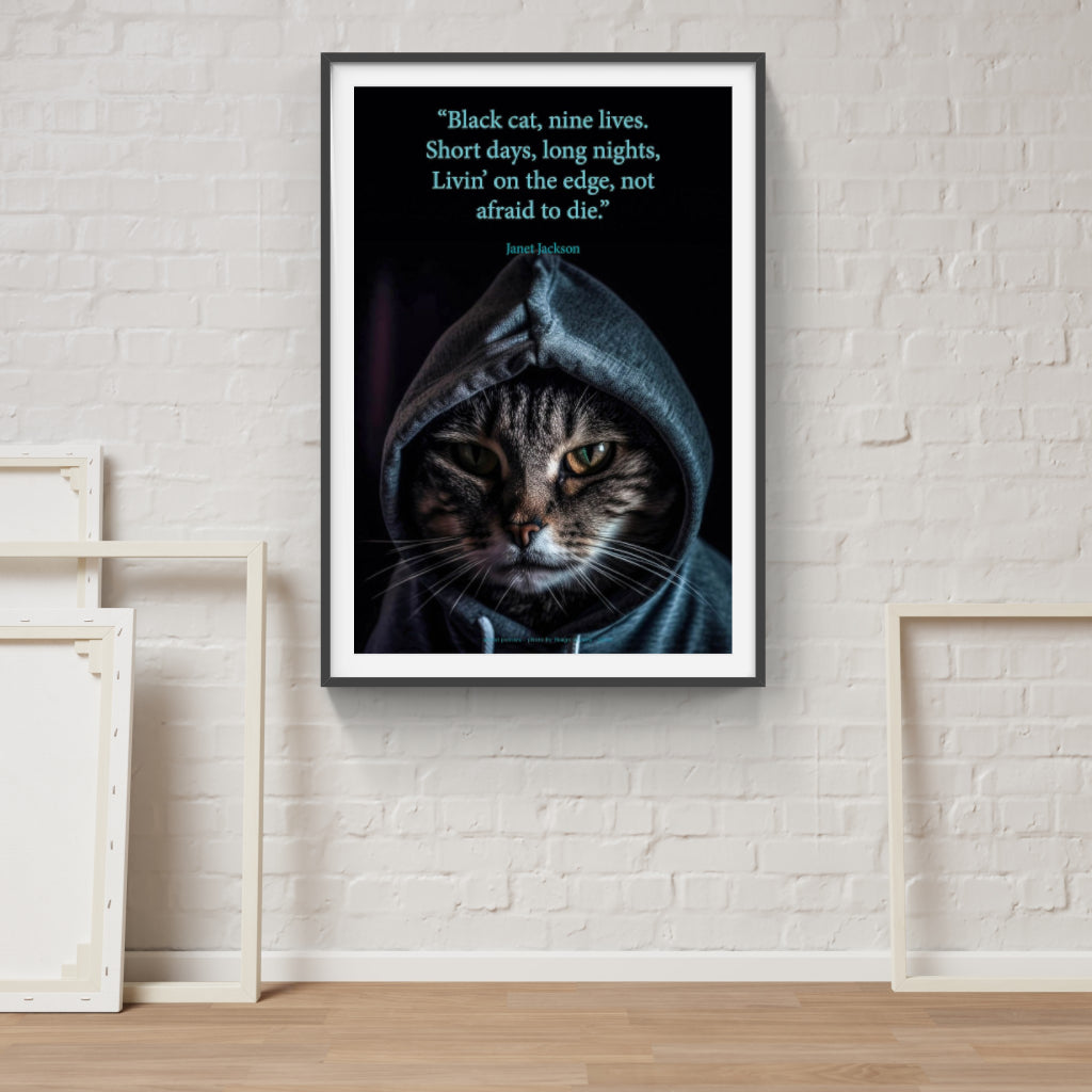 Cat Burglar poster