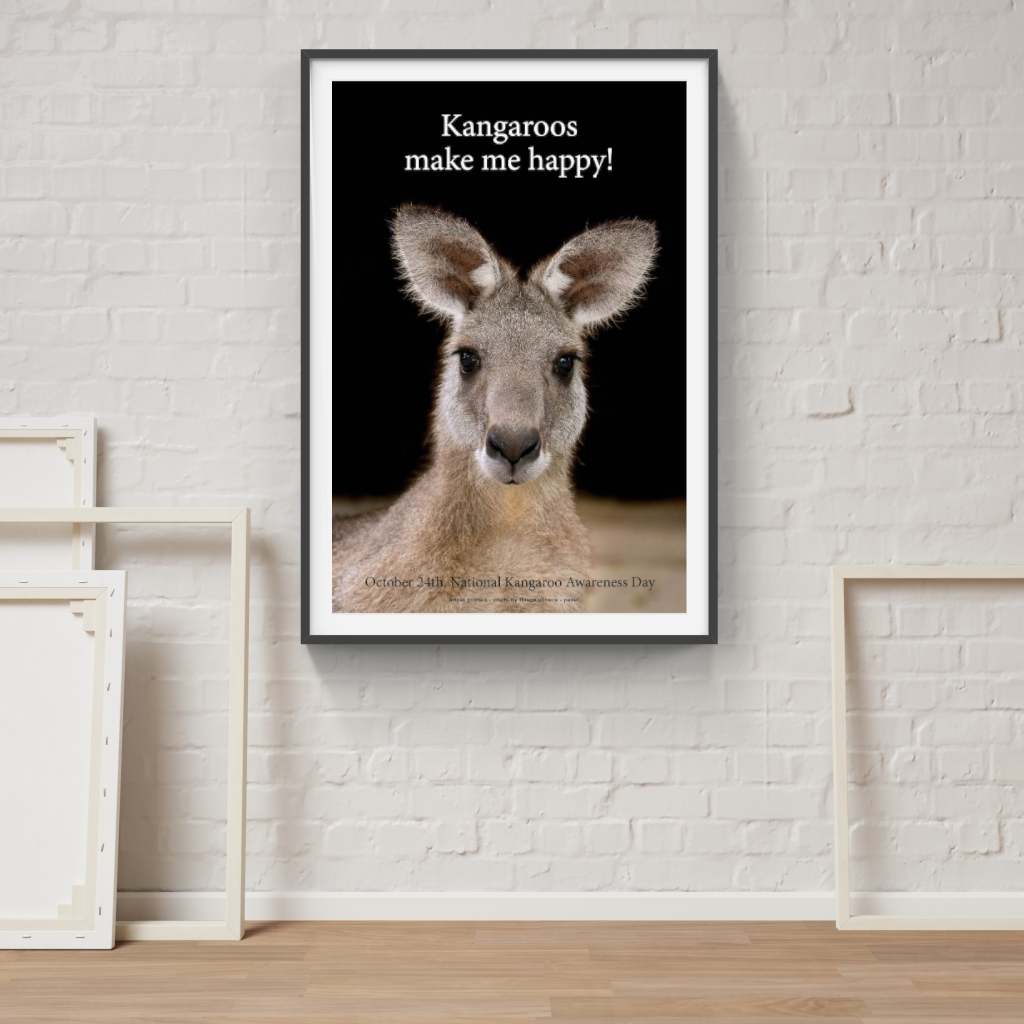 Kangaroos Make me Happy poster