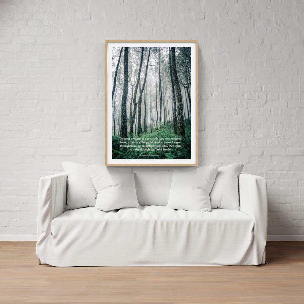 Mysterious Woods poster