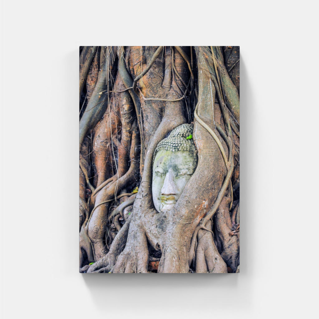 Buddha Enlightenment poster