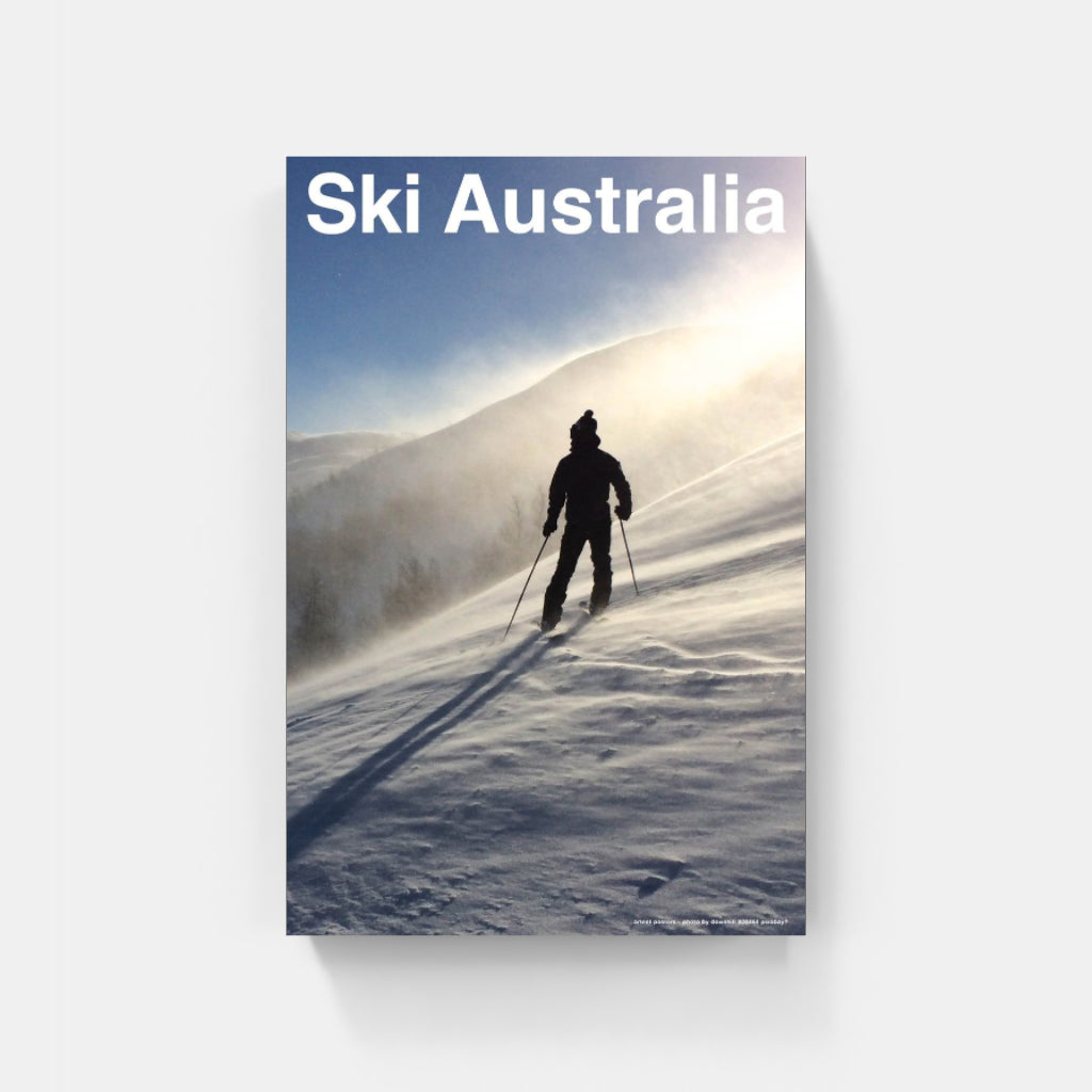 The Art of Telemark poster